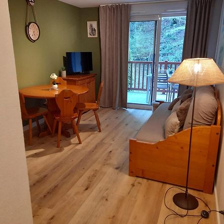 Appartement Avec Vue Sur La Montagne A Saint Lary Soulan 28 M² Piscine Экстерьер фото