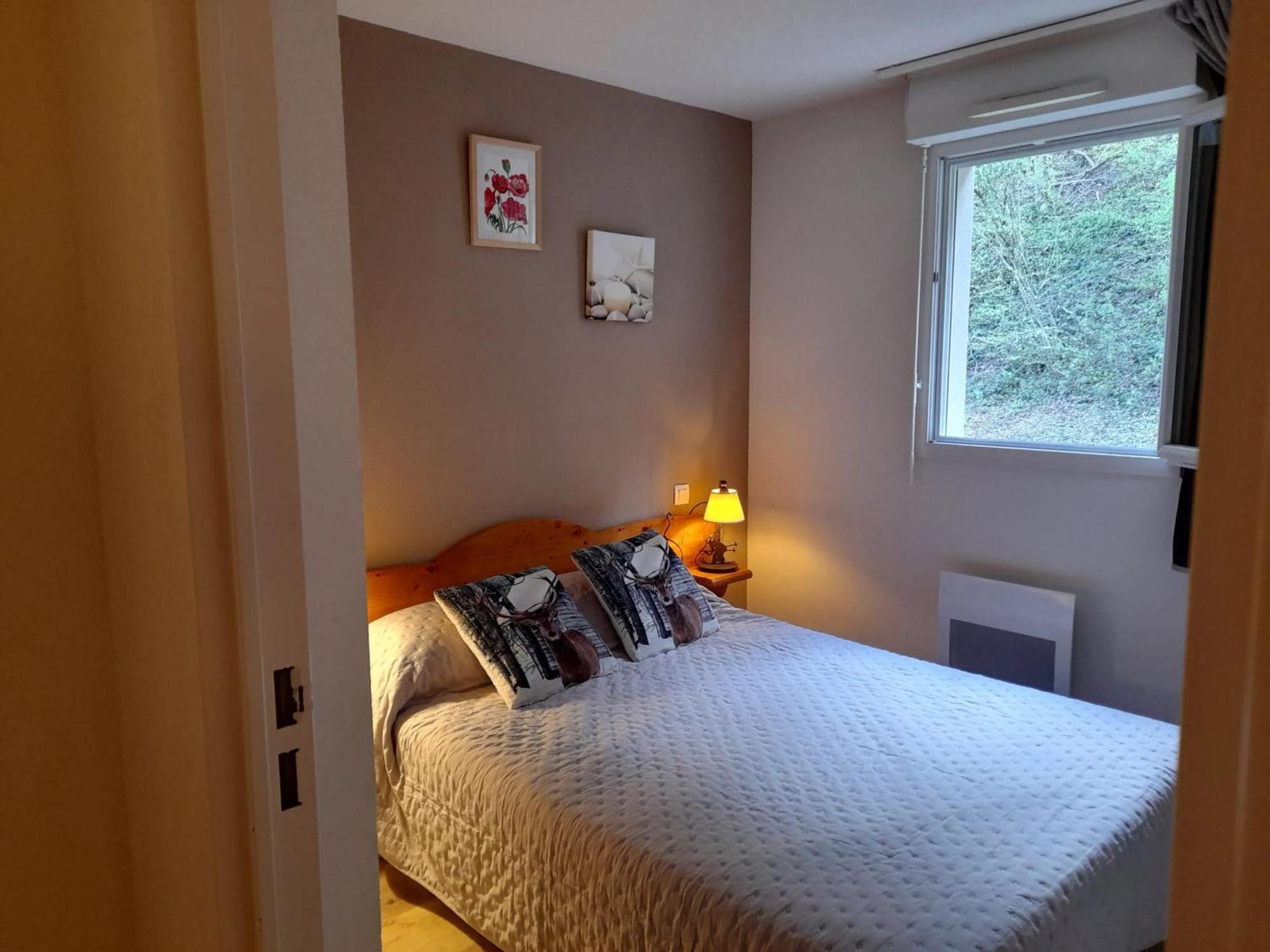 Appartement Avec Vue Sur La Montagne A Saint Lary Soulan 28 M² Piscine Экстерьер фото